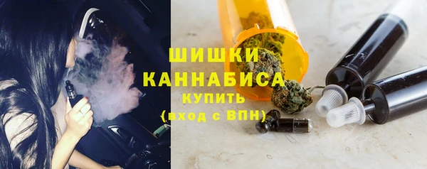PSILOCYBIN Балахна
