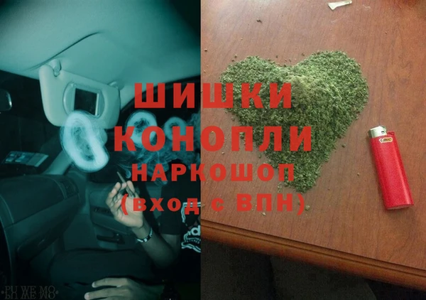 PSILOCYBIN Балахна
