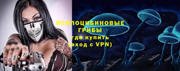 PSILOCYBIN Балахна