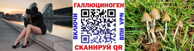Галлюциногенные грибы GOLDEN TEACHER  Заинск 